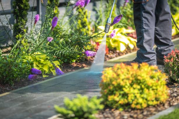 Best Driveway Pressure Washing  in Gretna, VA