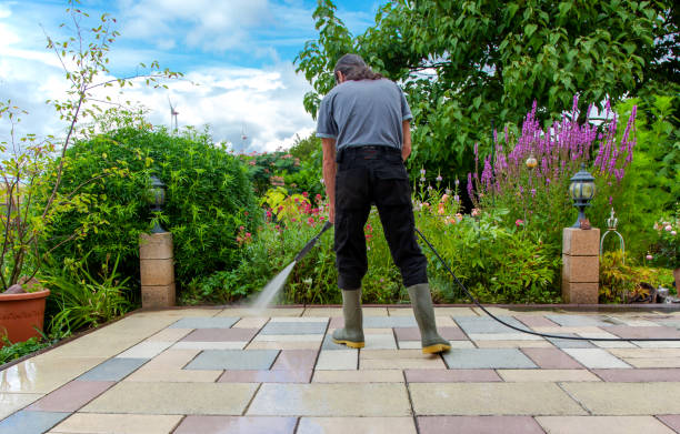 Best Pre-Holiday Cleaning  in Gretna, VA